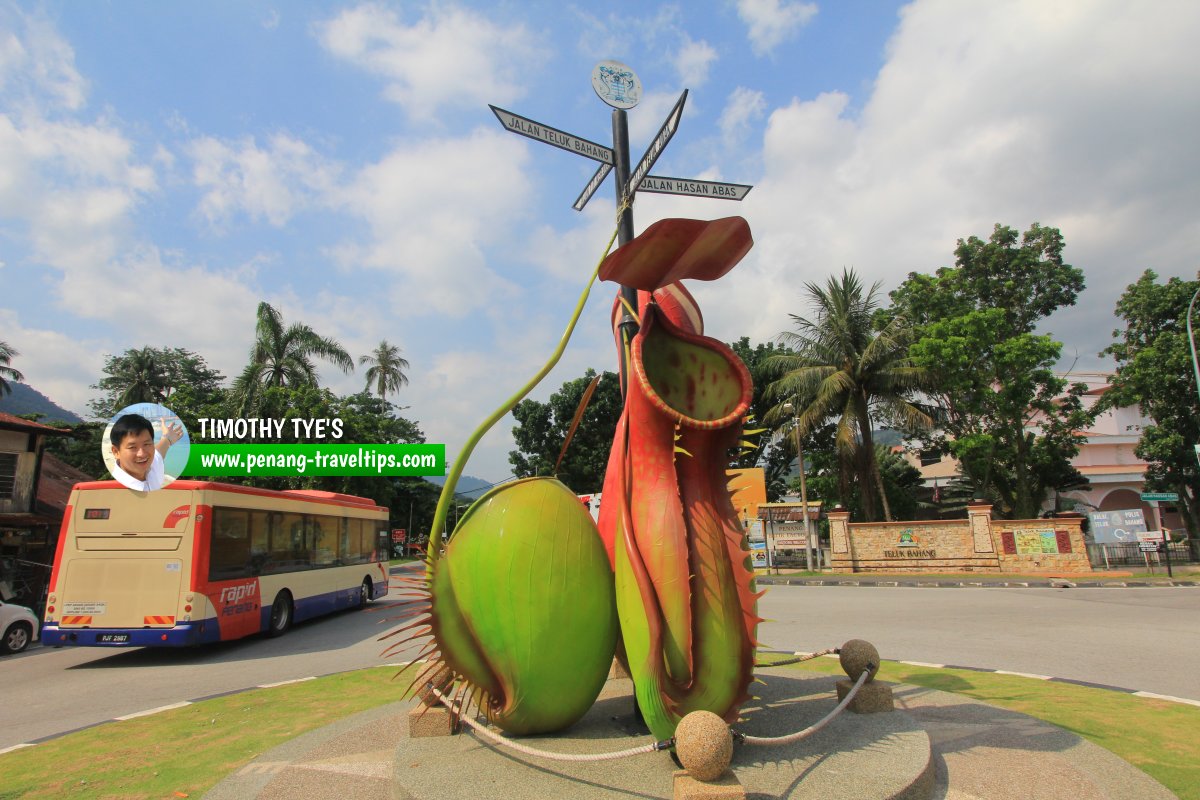 Teluk Bahang Roundabout