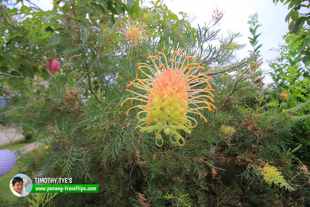 The Nature Walk interpretive board