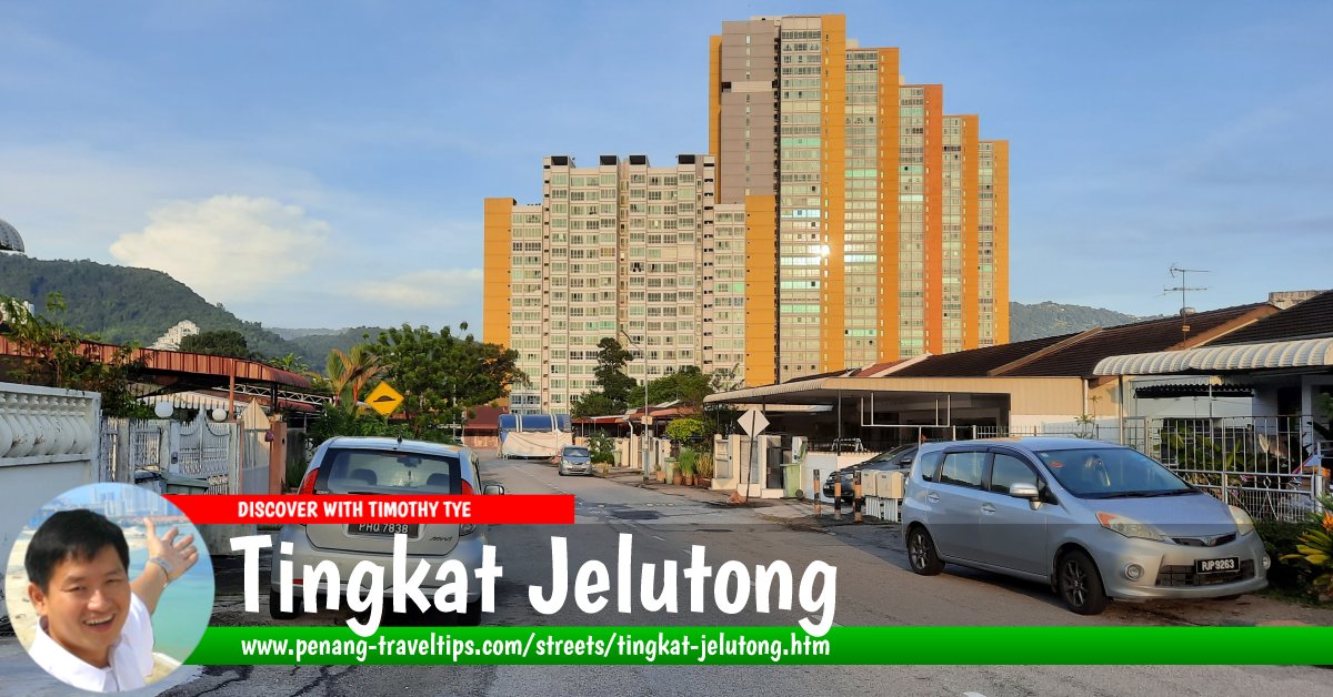 Tingkat Jelutong