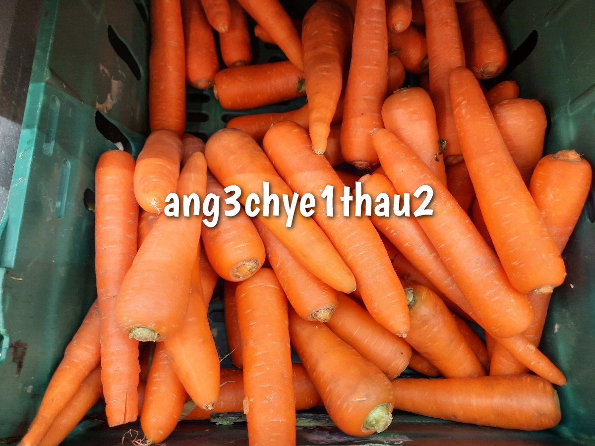 Ang3chye1thau2 (carrot)