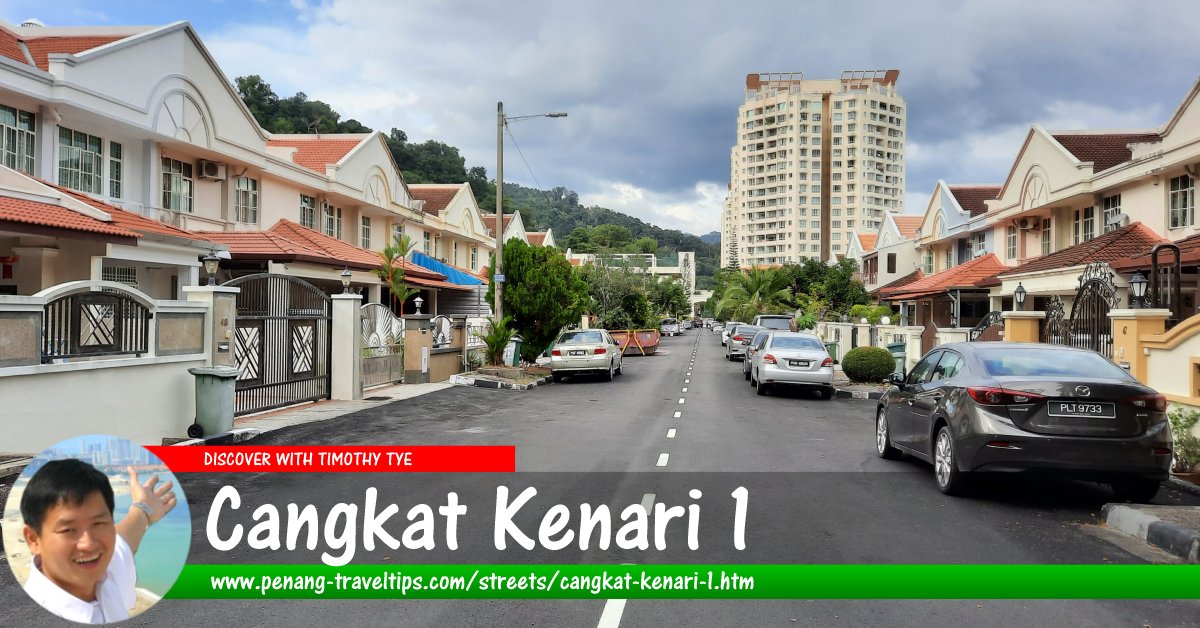 Cangkat Kenari 1, Sungai Ara