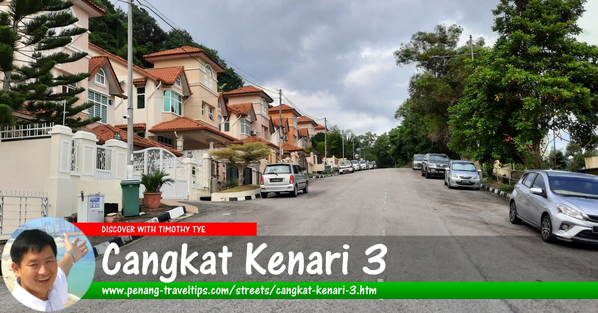 Cangkat Kenari 3, Sungai Ara