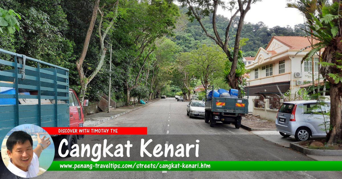 Cangkat Kenari, Sungai Ara