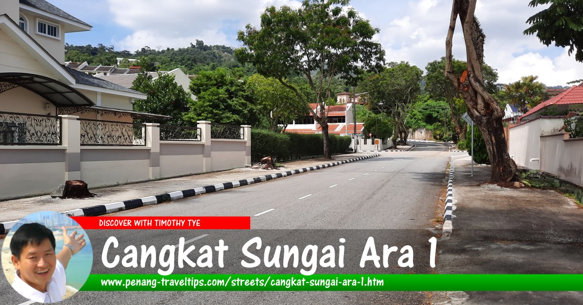 Cangkat Sungai Ara 1