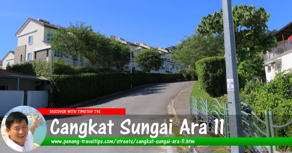 Cangkat Sungai Ara 11, Penang