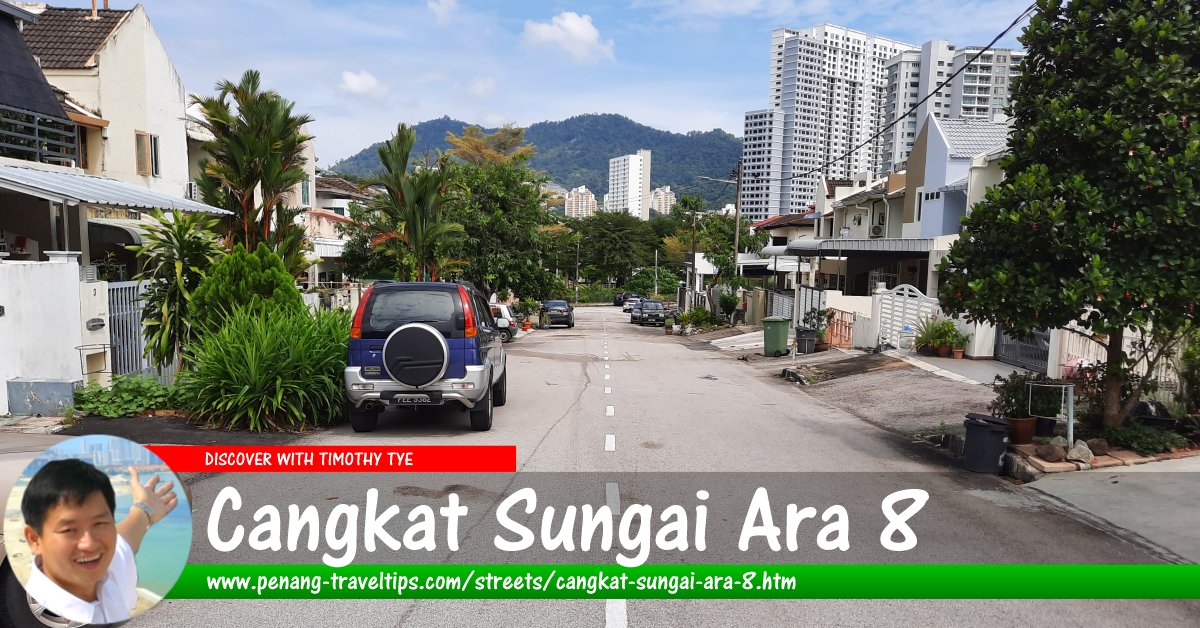 Cangkat Sungai Ara 8, Penang