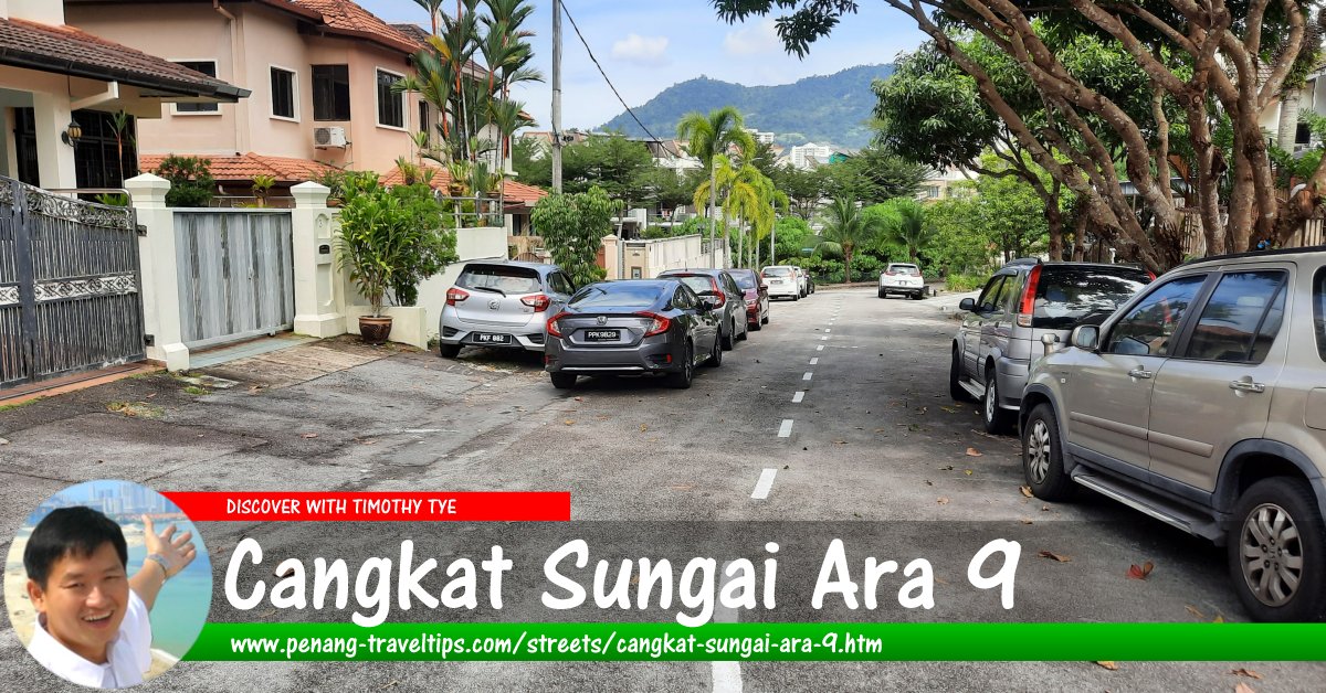 Cangkat Sungai Ara 9, Penang