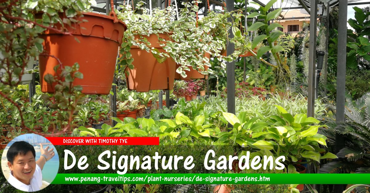 De Signature Gardens