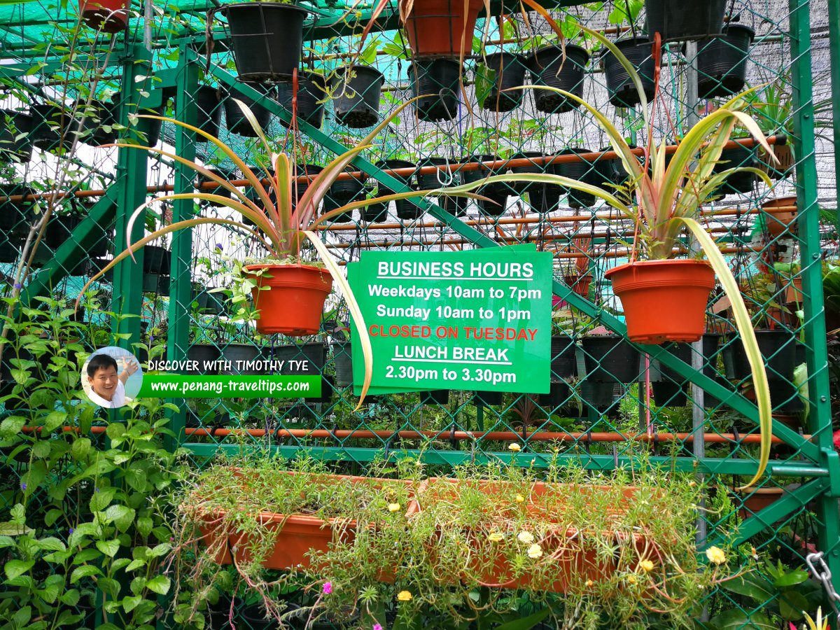 GreenHouse Nursery