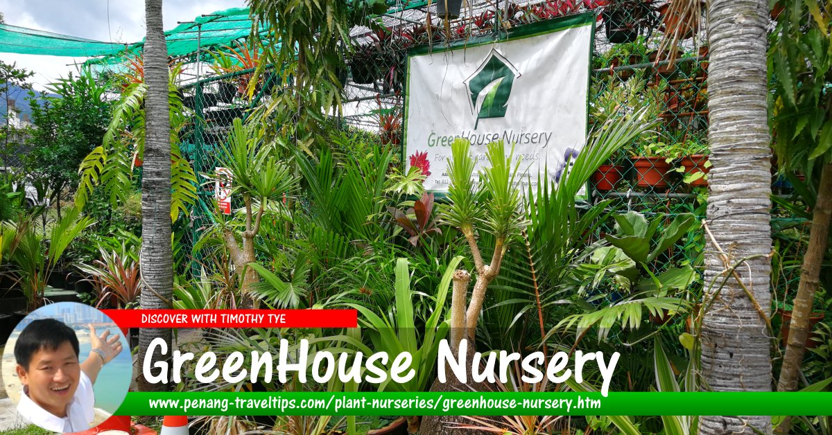 GreenHouse Nursery