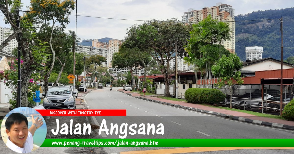 Jalan Angsana, Farlim