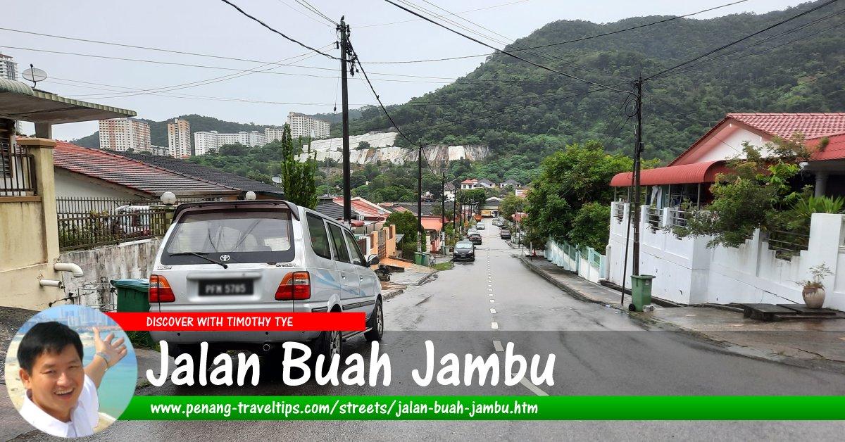 Jalan Buah Jambu, Paya Terubong