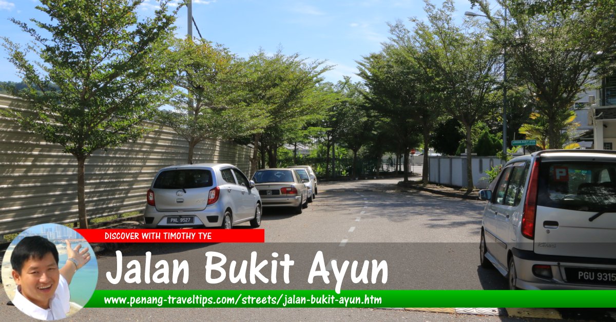 Jalan Bukit Ayun, Bayan Lepas