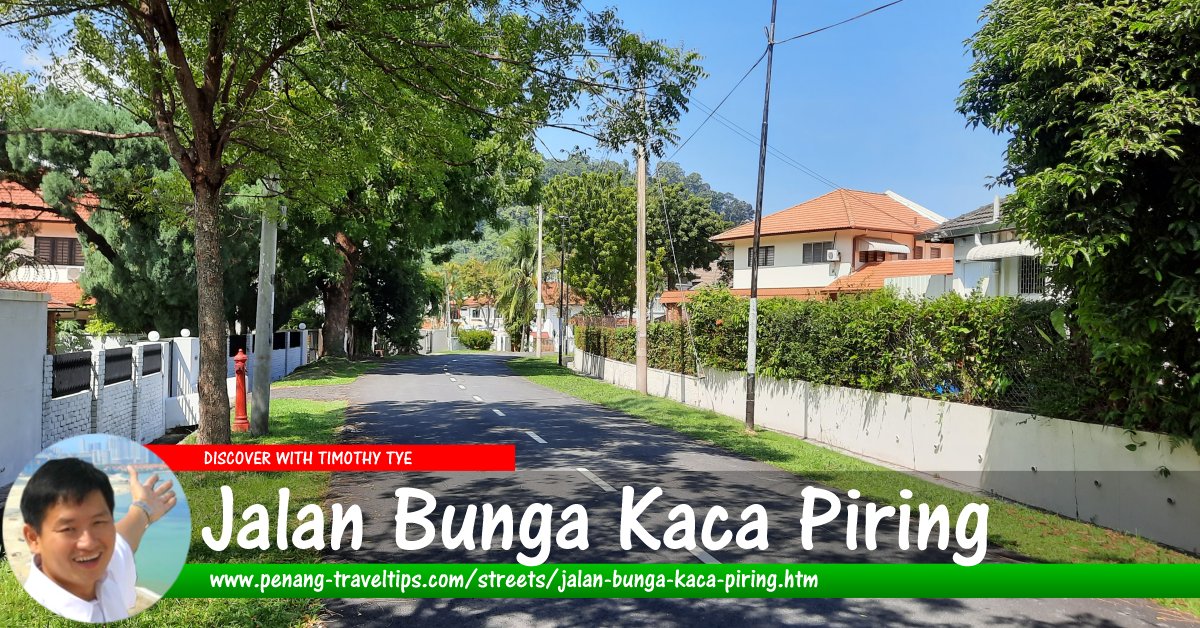 Jalan Bunga Kaca Piring