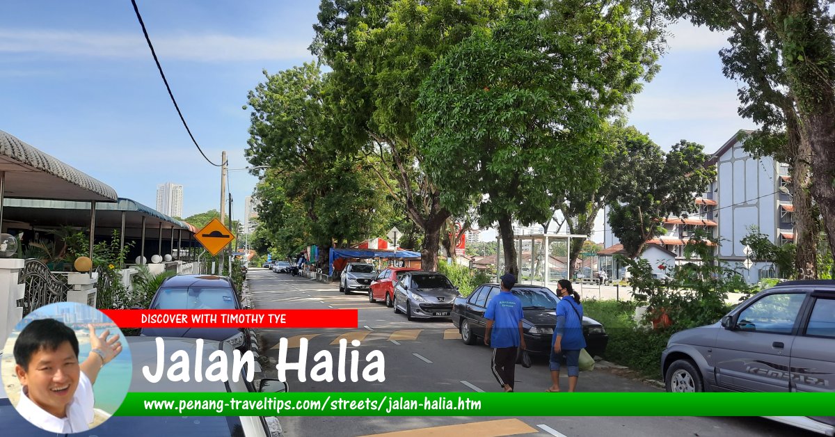 Jalan Halia, Mount Erskine