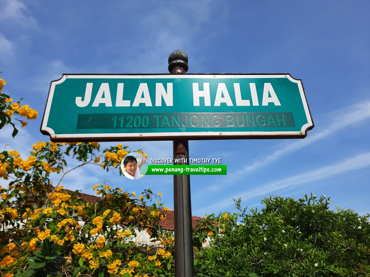 Jalan Halia roadsign