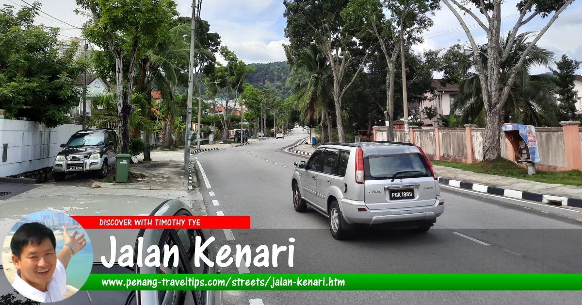 Jalan Kenari, Sungai Ara