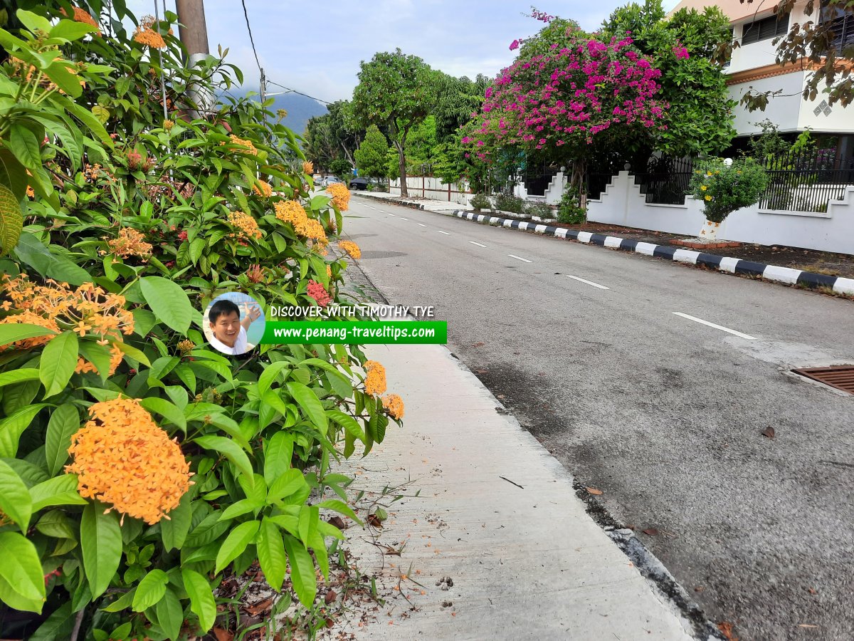 Jalan Pantai Jerjak 10, Sungai Nibong