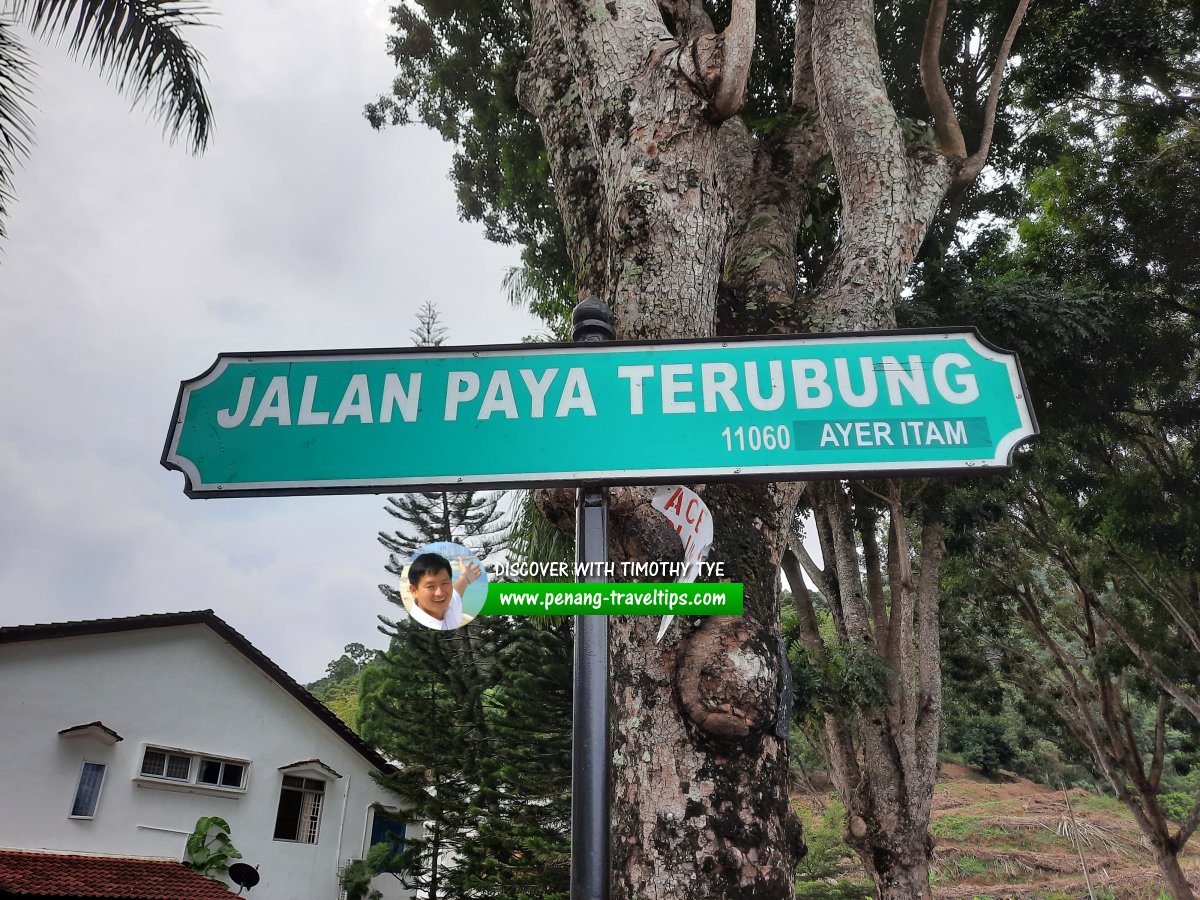 Jalan Paya Terubong roadsign