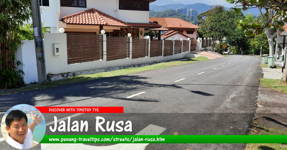Jalan Rusa, Tanjung Bungah