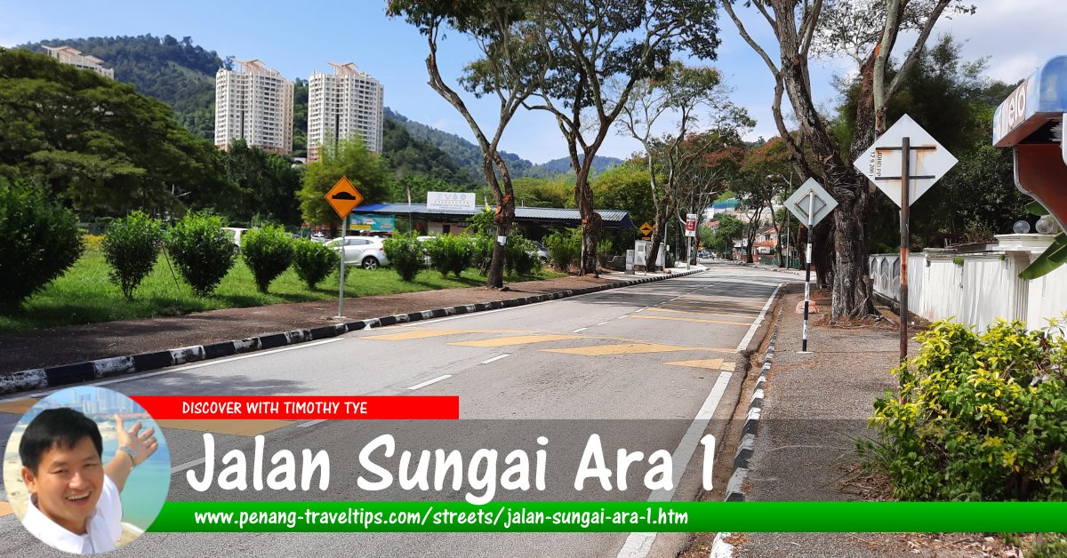 Jalan Sungai Ara 1