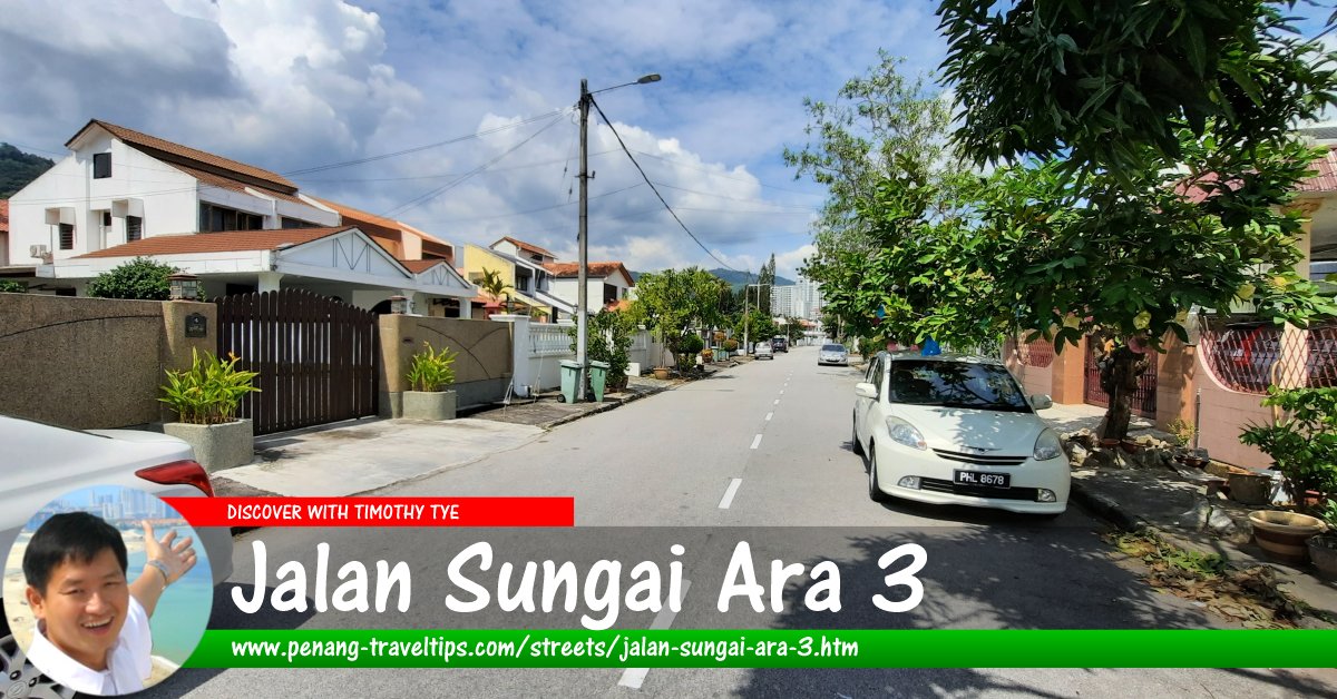 Jalan Sungai Ara 3, Penang