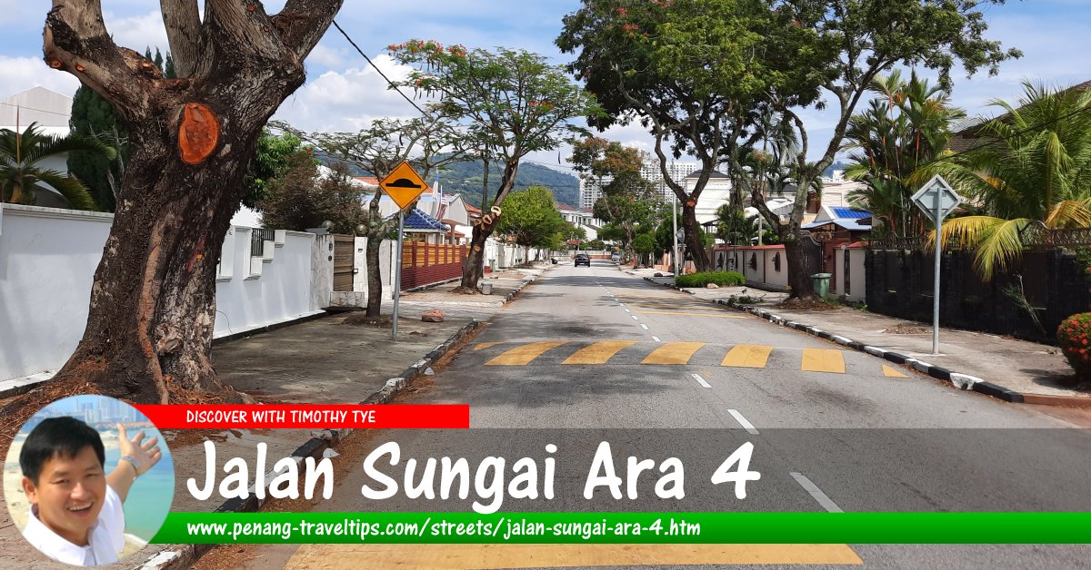 Jalan Sungai Ara 4