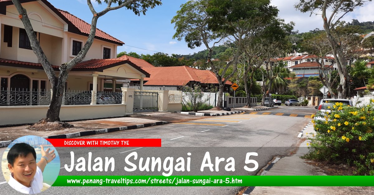 Jalan Sungai Ara 5