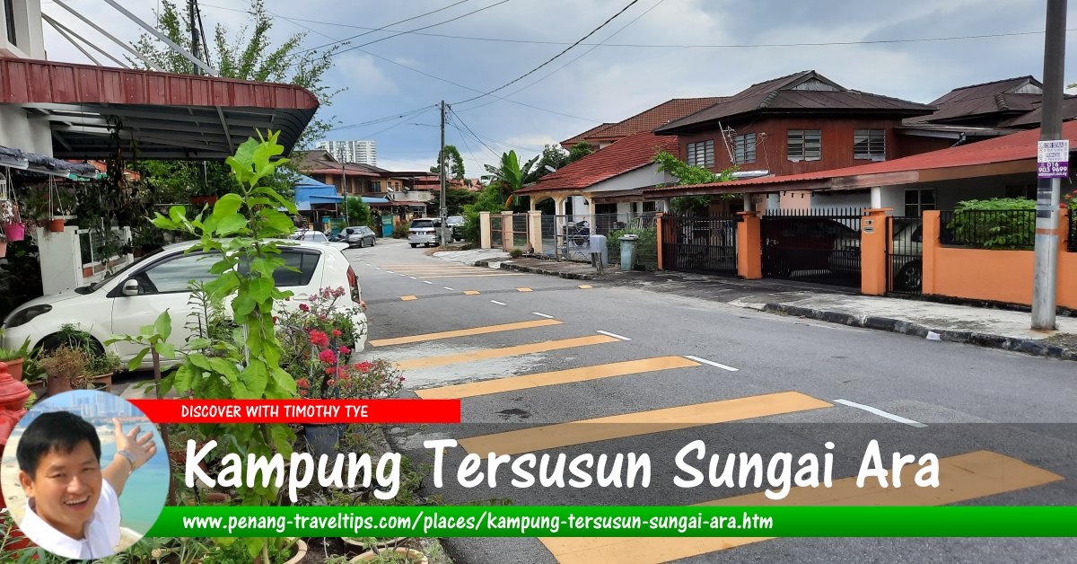 Kampung Tersusun Sungai Ara