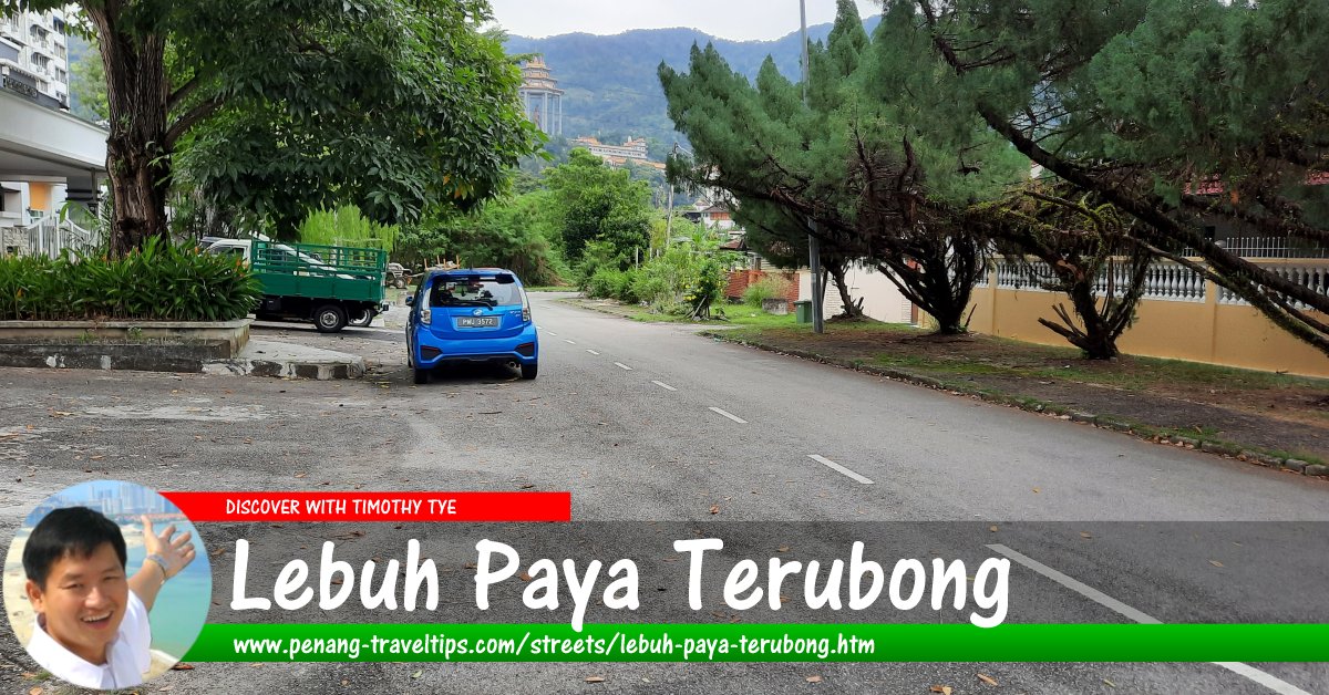 Lebuh Paya Terubong 3