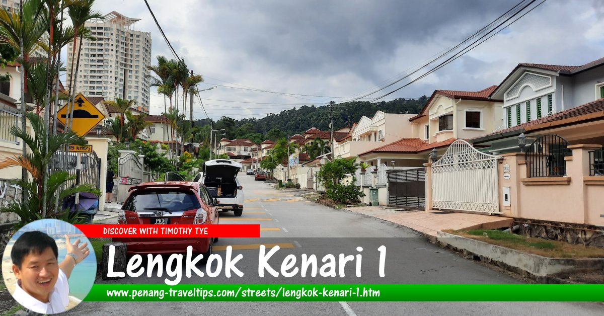 Lengkok Kenari 1, Sungai Ara