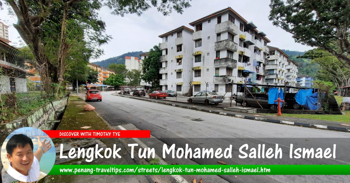 Lengkok Tun Mohamed Salleh Ismael