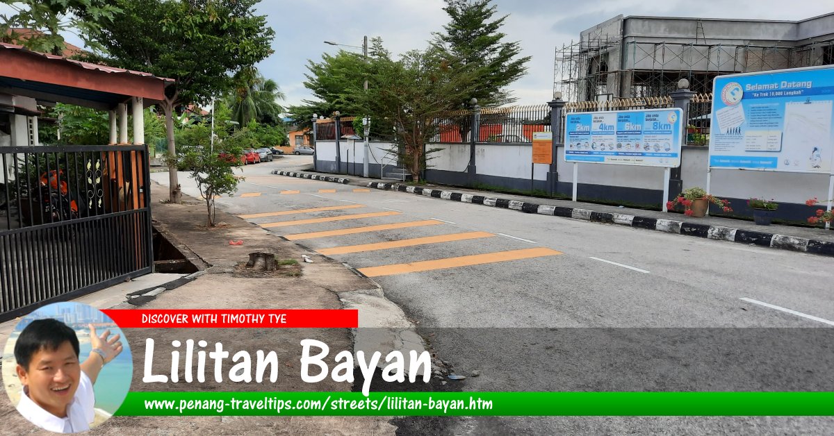 Lilitan Bayan, Sungai Ara