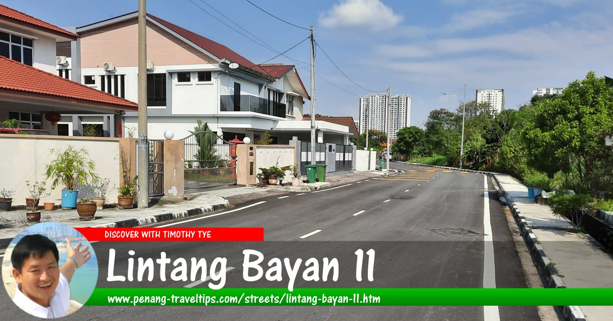 Lintang Bayan 11, Sungai Ara