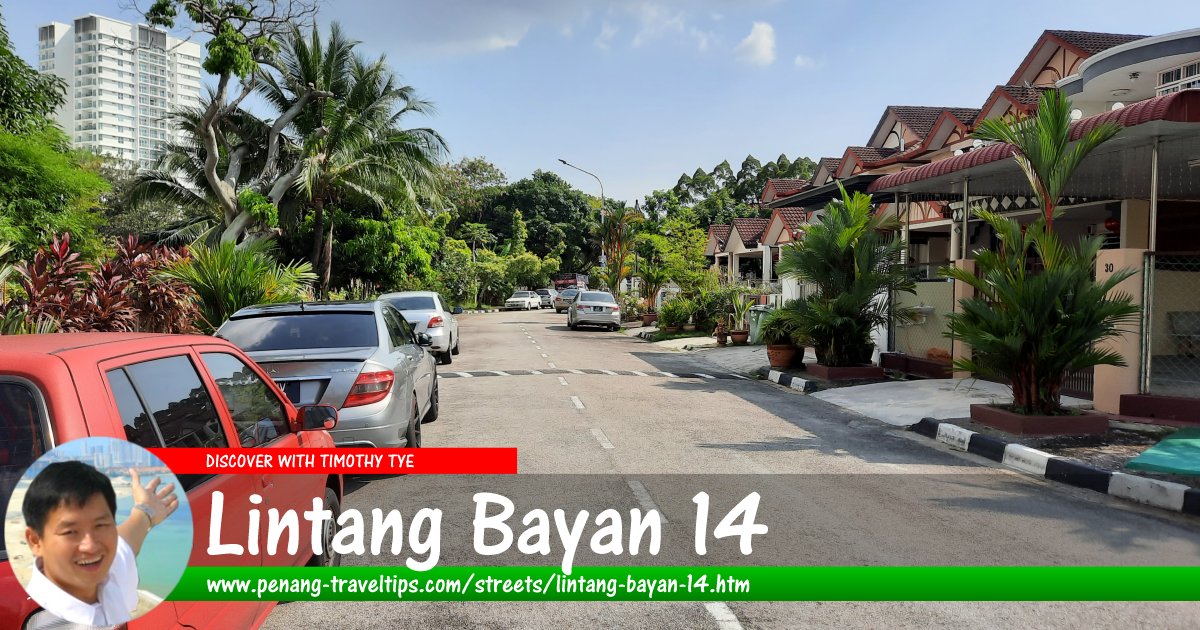 Lintang Bayan 14, Sungai Ara