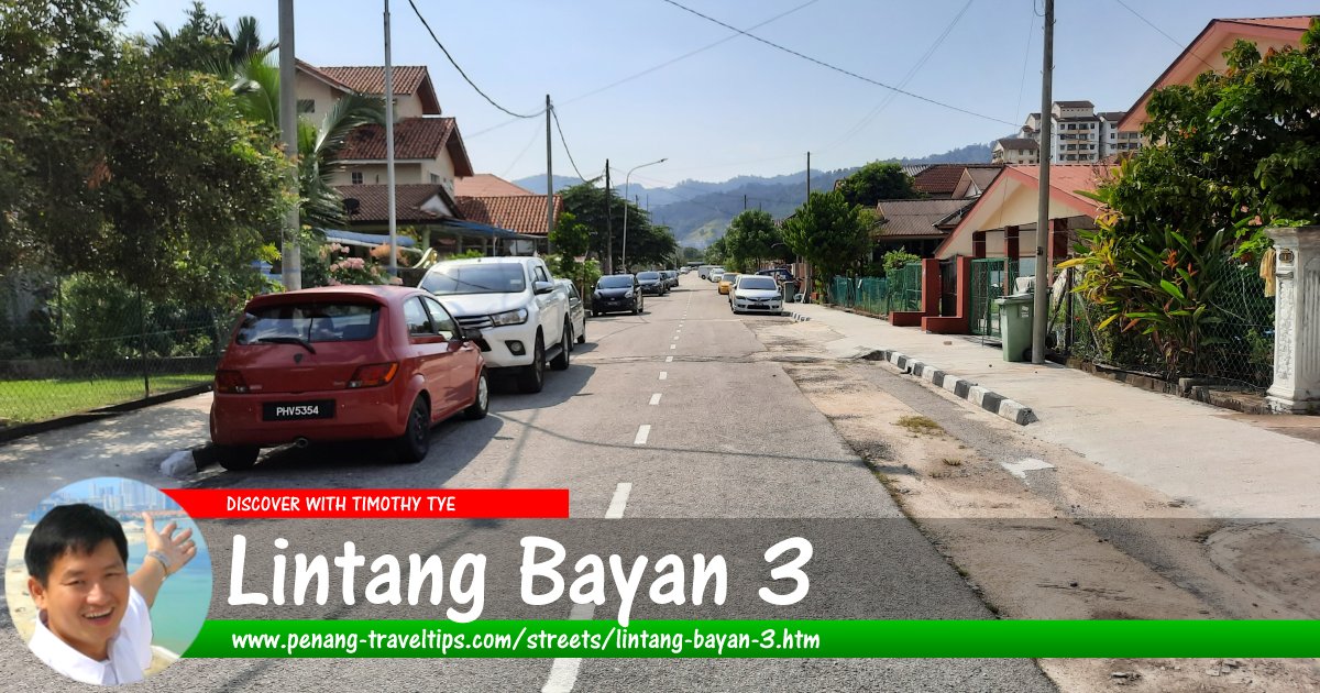 Lintang Bayan 3, Sungai Ara