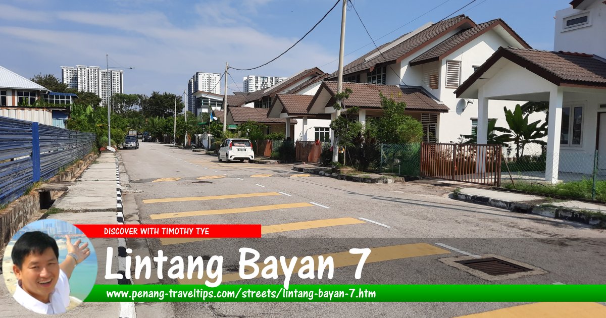 Lintang Bayan 7, Sungai Ara