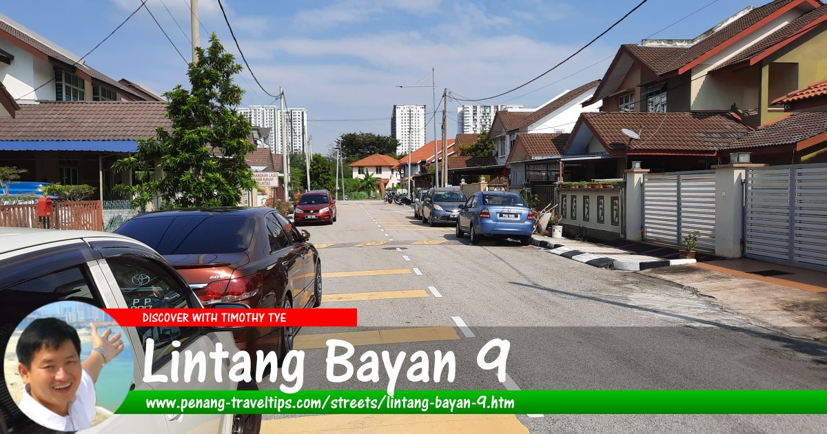 Lintang Bayan 9, Sungai Ara