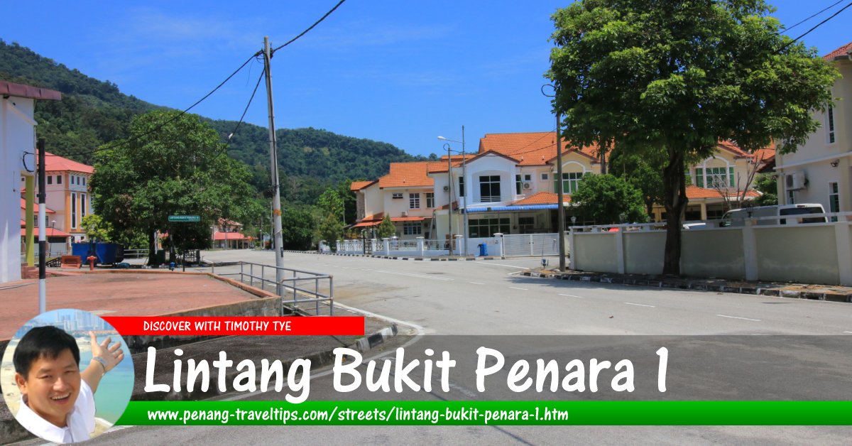 Lintang Bukit Penara 1, Balik Pulau