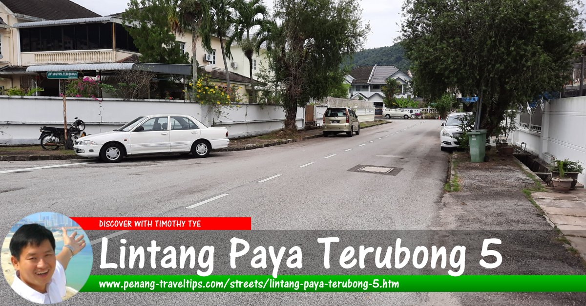 Lintang Paya Terubong 5