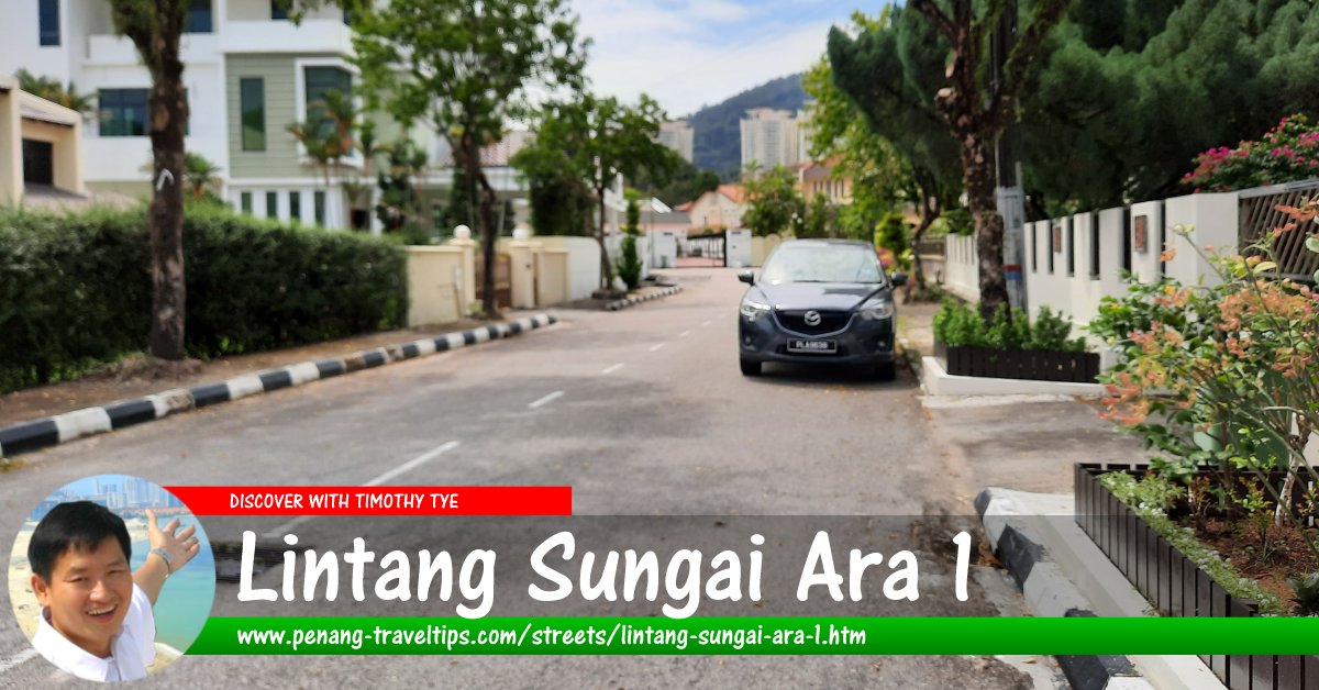 Lintang Sungai Ara 1