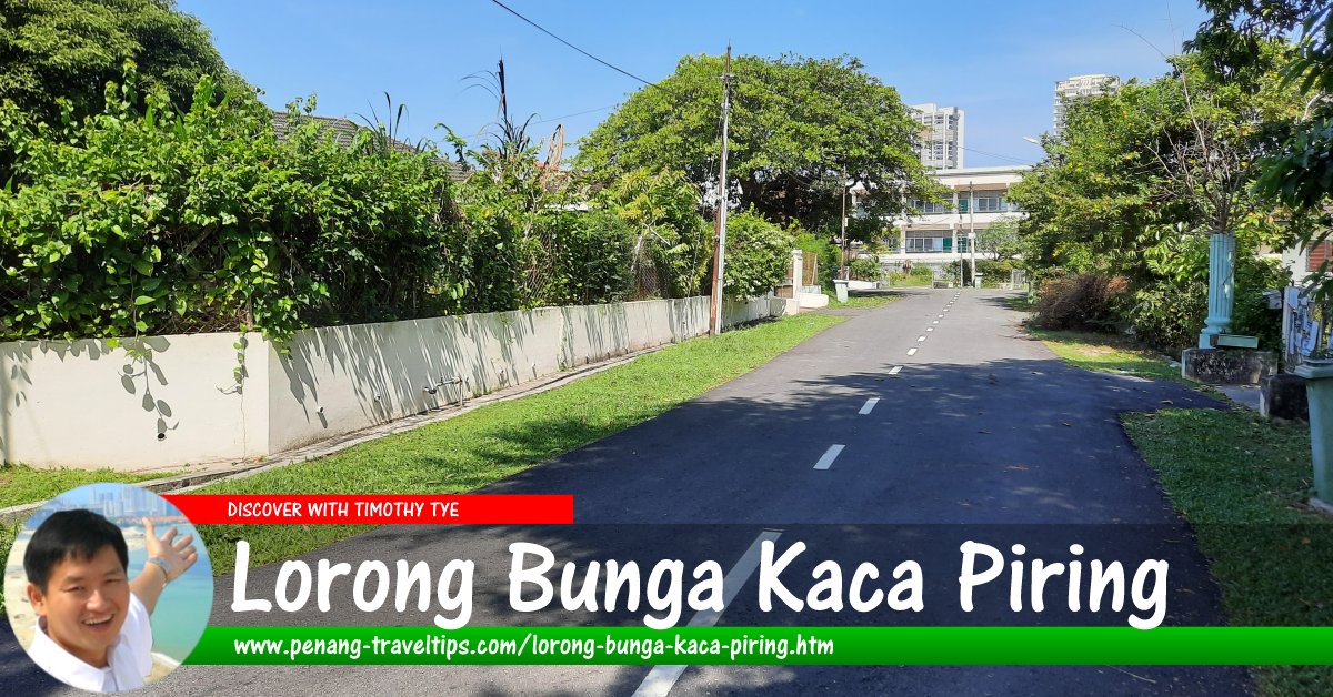 Lorong Bunga Kaca Piring