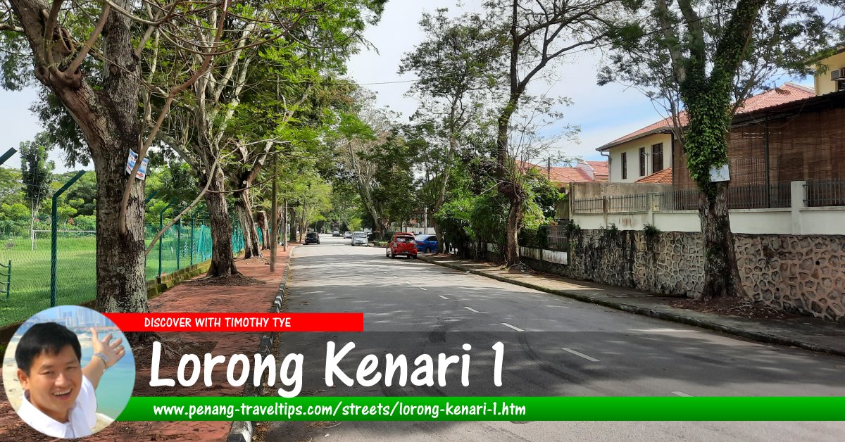 Lorong Kenari 1, Sungai Ara