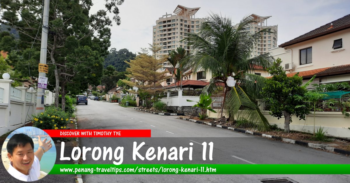 Lorong Kenari 11, Sungai Ara