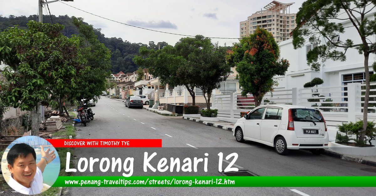 Lorong Kenari 12, Sungai Ara