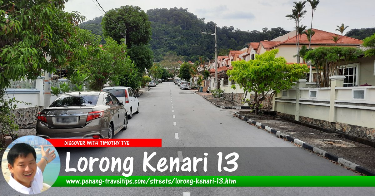 Lorong Kenari 13, Sungai Ara