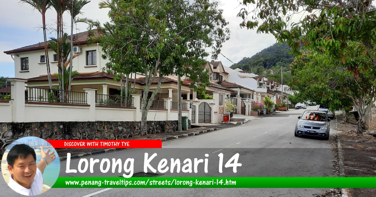 Lorong Kenari 14, Sungai Ara