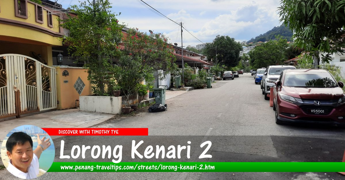 Lorong Kenari 2, Sungai Ara