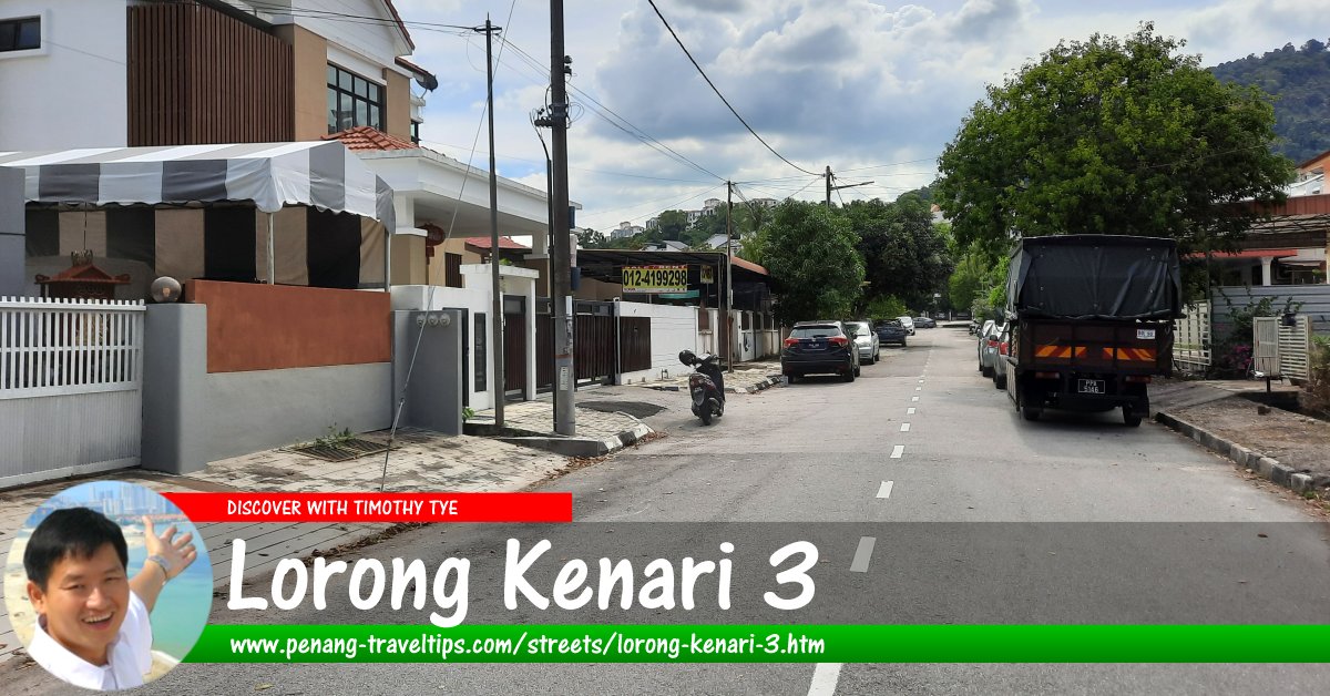 Lorong Kenari 3, Sungai Ara