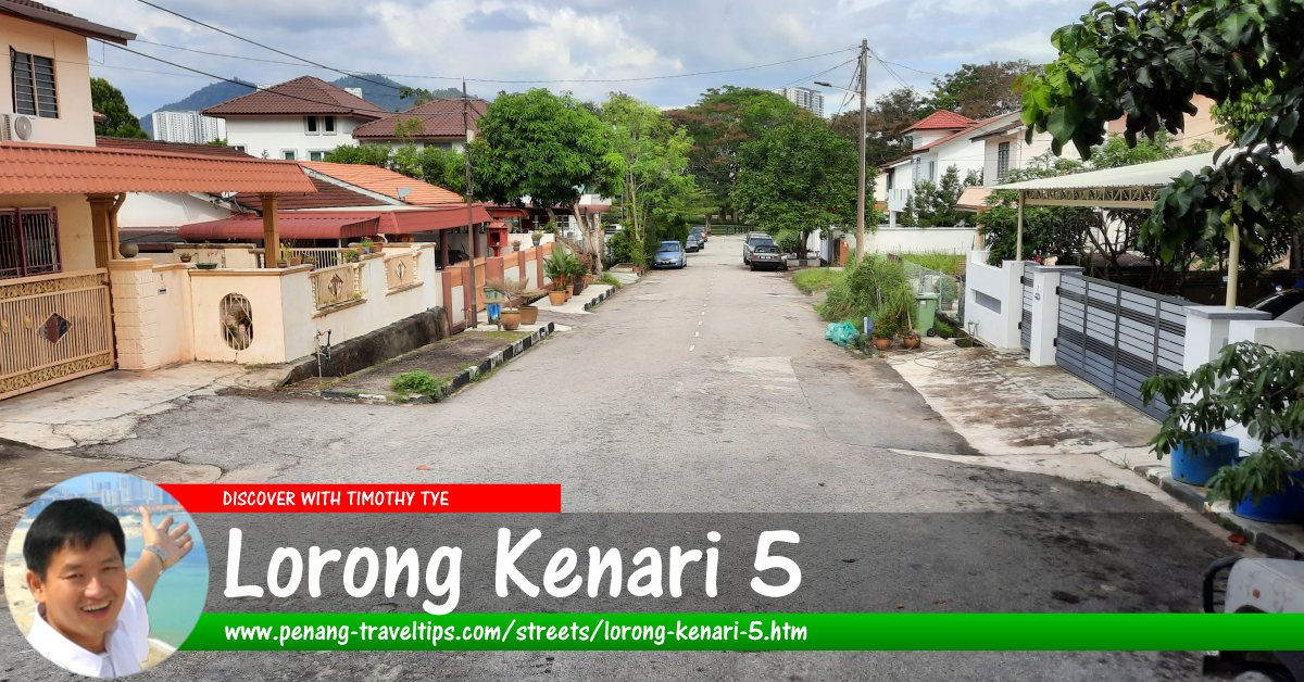 Lorong Kenari 5, Sungai Ara